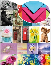 Top Picks mixed pack of postcards with coloured envelopes - The Postcard Store