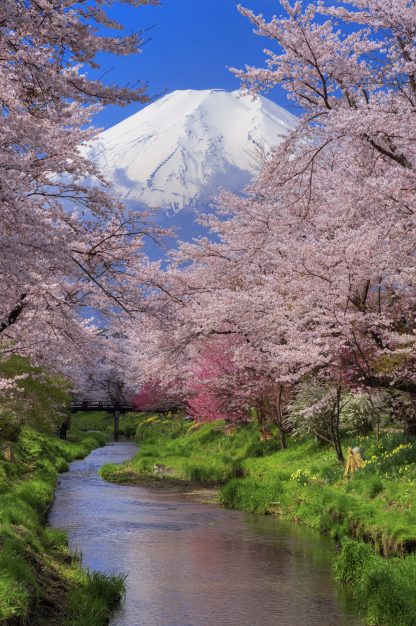 Wonderful World replacement Mount Fuji