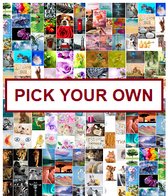 Pick Your Own postcards - The Postcard Store