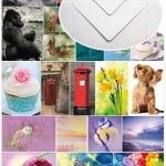 Mixed set of postcards and white C6 envelopes - The Postcard Store - Top Picks with white envelopes
