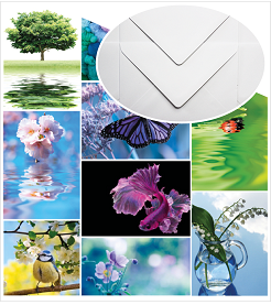 Bright and Beautiful mixed set of postcards with white envelopes - The Postcard Store