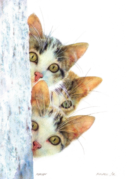 Visions Postcard- Reme Junior Cats Image